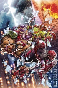 Teenage Mutant Ninja Turtles #80