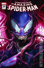 Variant Cover for Amazing Spider-Man #29