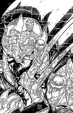 Variant Cover for Mighty Morphin Power Rangers / Teenage Mutant Ninja Turtles #2