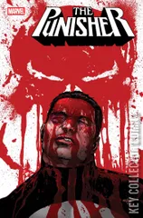 Cover for Punisher #6