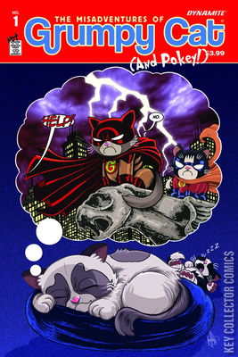 The Misadventures of Grumpy Cat