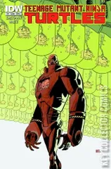 Variant Cover for Teenage Mutant Ninja Turtles #17
