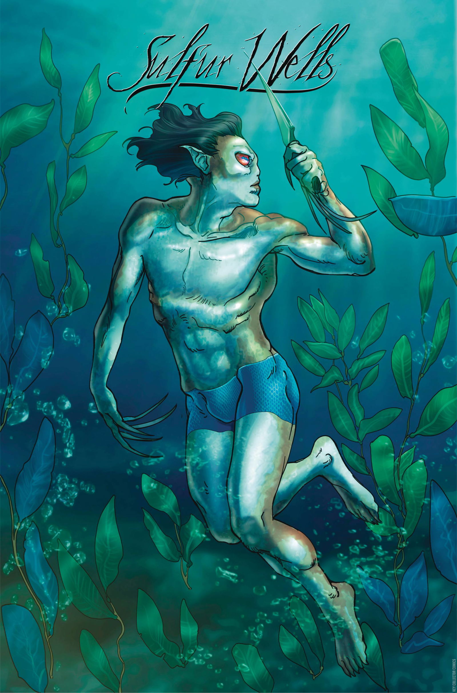 Variant Cover for Sulfur Wells #4