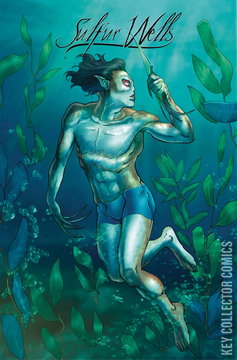 Variant Cover for Sulfur Wells #4