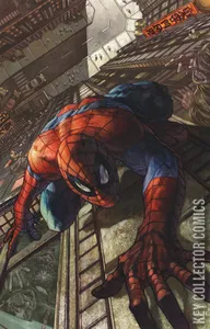 Amazing Spider-Man #12