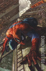 Variant Cover for Amazing Spider-Man #12