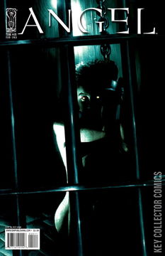 Variant Cover for Angel: After the Fall #20