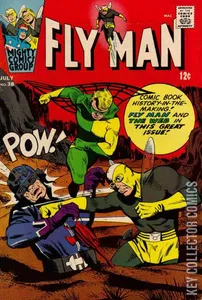 Fly Man #38