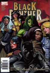 Variant Cover for Black Panther #14