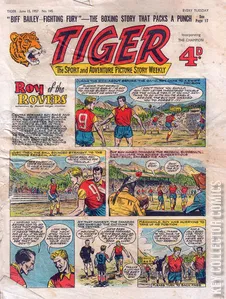 Tiger #145