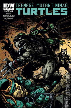 Variant Cover for Teenage Mutant Ninja Turtles #35
