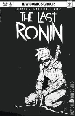 Teenage Mutant Ninja Turtles: The Last Ronin
