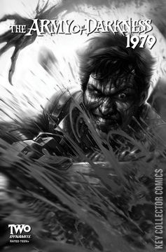 Variant Cover for Army of Darkness: 1979 #2