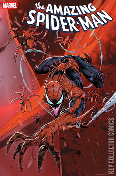 Variant Cover for Amazing Spider-Man #27