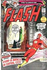 Variant Cover for Flash #208