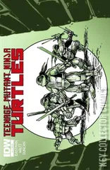 Variant Cover for Teenage Mutant Ninja Turtles #4