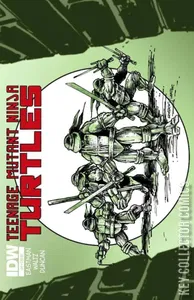 Teenage Mutant Ninja Turtles #4