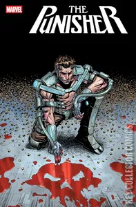 Punisher #6