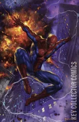 Variant Cover for Non-Stop Spider-Man #1