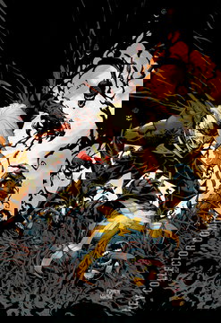 Variant Cover for Venom #250