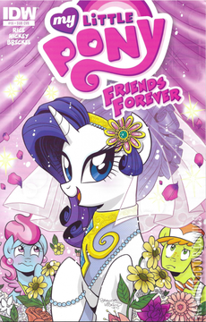 Variant Cover for My Little Pony: Friends Forever #19