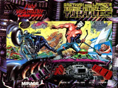 Teenage Mutant Ninja Turtles #30