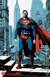 Superman Red & Blue #3