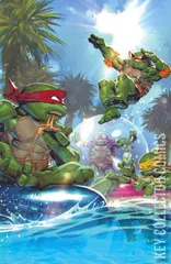 Variant Cover for Teenage Mutant Ninja Turtles #124