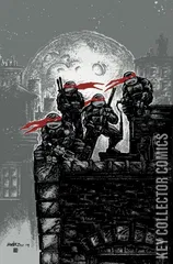 Variant Cover for Teenage Mutant Ninja Turtles #100