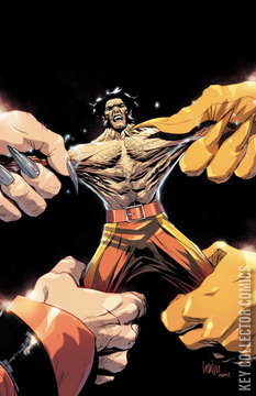 Variant Cover for Wolverine #48