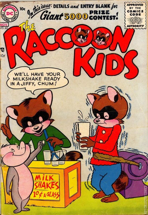 Kid Crew Racoon Raccoon Kids by DC | Key Collector Comics