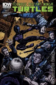 Teenage Mutant Ninja Turtles #38