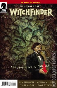Witchfinder: The Mysteries of Unland #1