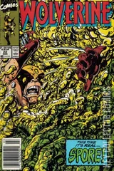 Cover for Wolverine #22