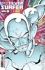 Variant Cover for Death of the Silver Surfer #1