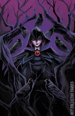 DC's Quoth the Raven...Whatever