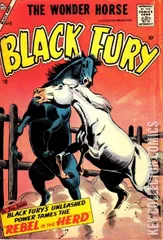 Cover for Black Fury #9