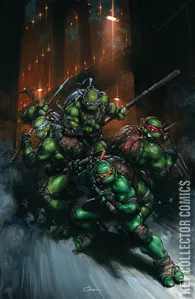 Teenage Mutant Ninja Turtles #13