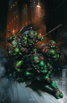 Variant Cover for Teenage Mutant Ninja Turtles #13
