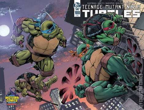 Variant Cover for Teenage Mutant Ninja Turtles #100