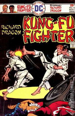 Richard Dragon's Kung-Fu Fighter