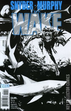 Variant Cover for The Wake #2