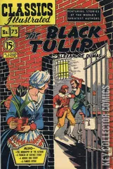 Variant Cover for Classics Illustrated #73