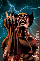 Variant Cover for Wolverine #22