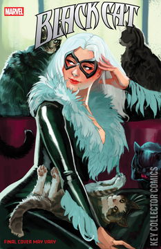 Variant Cover for Black Cat #8
