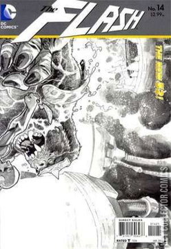 Variant Cover for Flash #14
