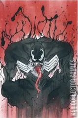 Variant Cover for Venom #28