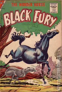Black Fury #6