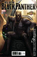 Variant Cover for Rise of the Black Panther #6