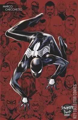 Symbiote Spider-Man: Alien Reality